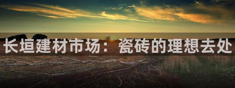 杏鑫平台注册入口