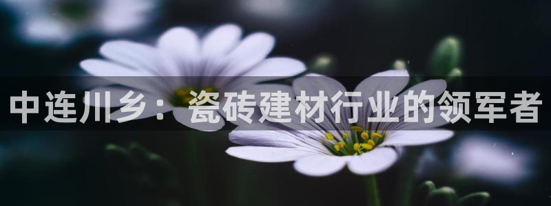 杏鑫平台注册登录