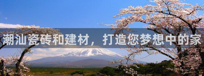 杏鑫手机客户端