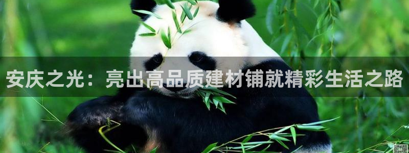 杏鑫平台注册网址是多少