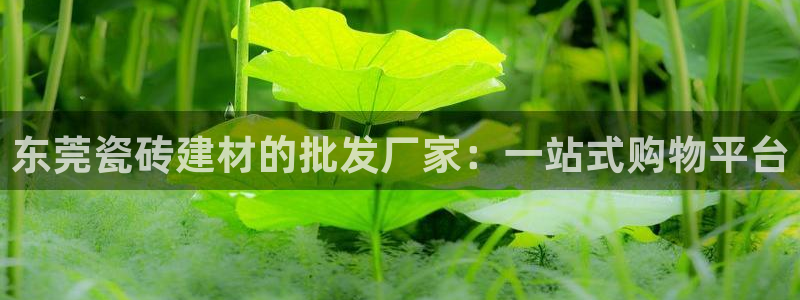 杏鑫平台代理注册多少钱一个