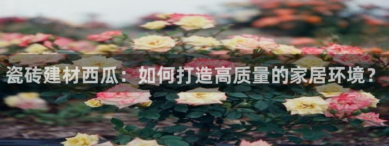 杏鑫平台招商