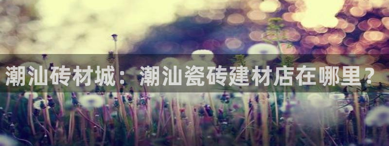 杏鑫平台代理怎么样啊