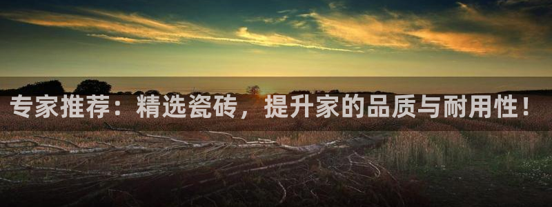 杏鑫娱乐平台登录