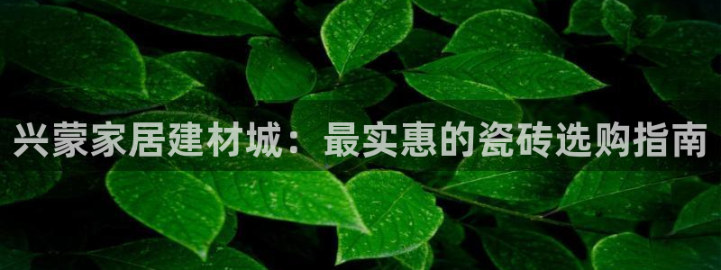 杏鑫平台代理怎么做的