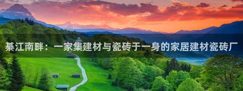 杏鑫招商总代