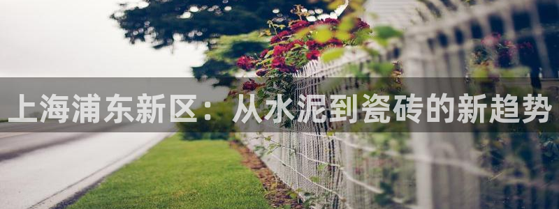 杏鑫平台待遇