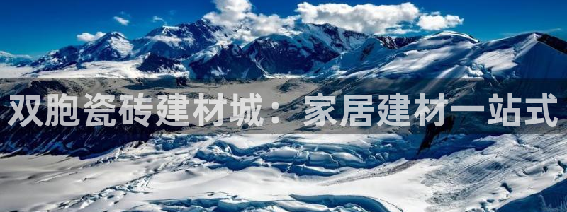 杏鑫3主管