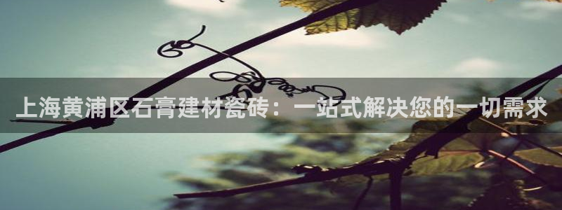 杏鑫平台怎么样黑钱吗安全吗是真的吗