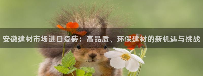 杏鑫代理注册资金多少