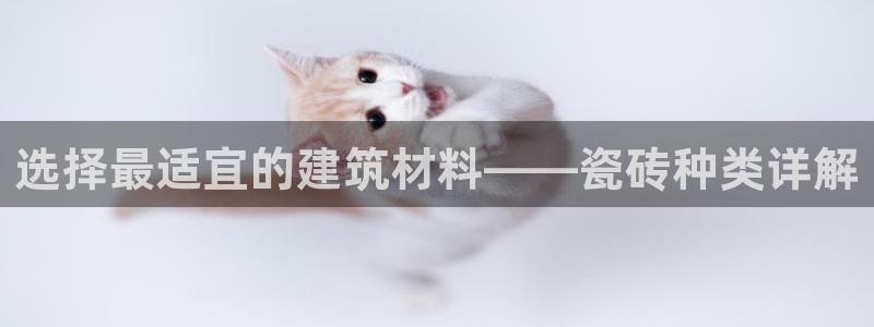 杏鑫平台注册入口