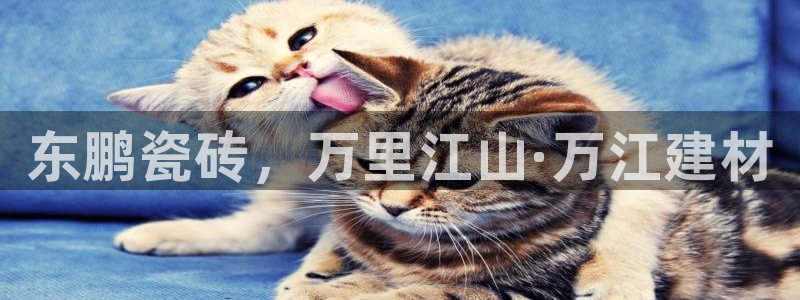 杏鑫官网注册账号是什么