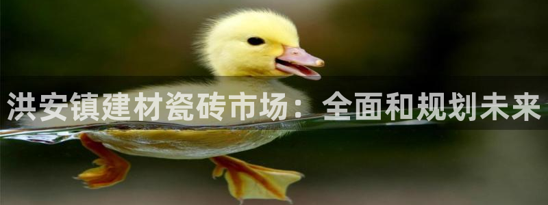 杏鑫平台怎么样