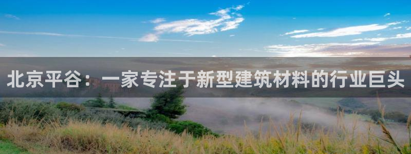 杏鑫有亏损返点吗