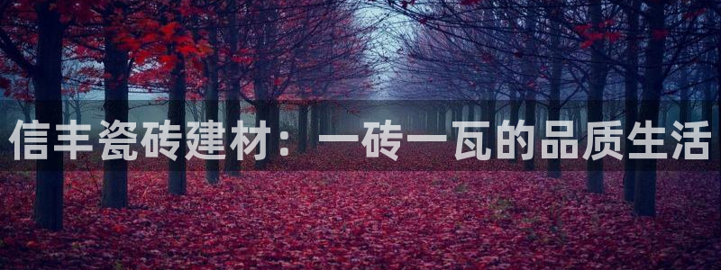 杏鑫平台怎么样黑钱吗安全吗是真的吗