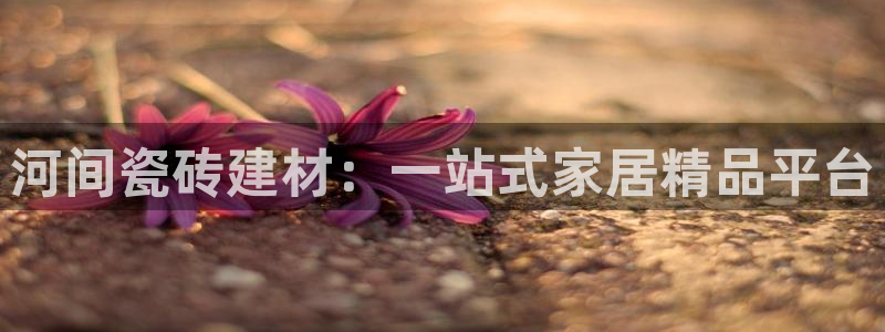 杏鑫3主管