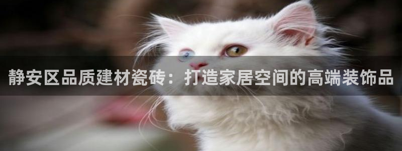 杏鑫官网注册账号是什么