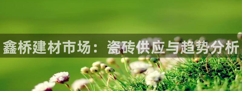 杏鑫平台注册地址