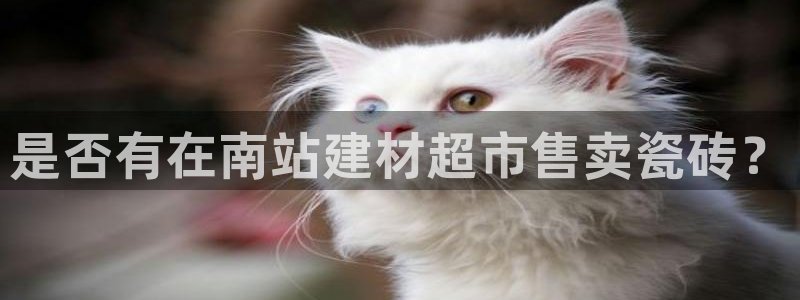 杏鑫官网最新信息新闻报道