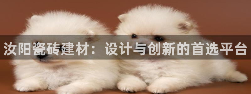 杏鑫官网注册账号密码