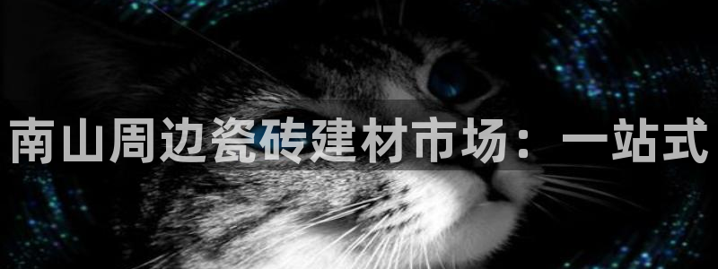 杏鑫平台注册网址是什么