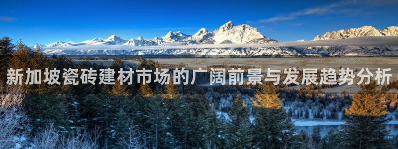 杏鑫平台注册网址