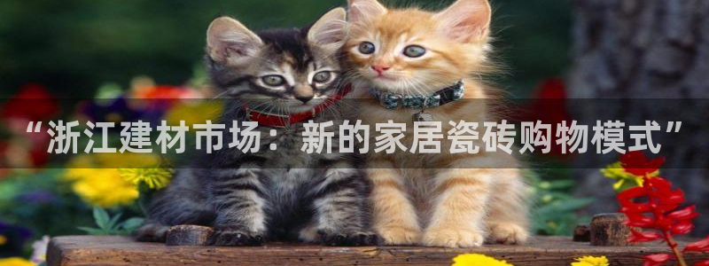 杏鑫官网注册账号是什么