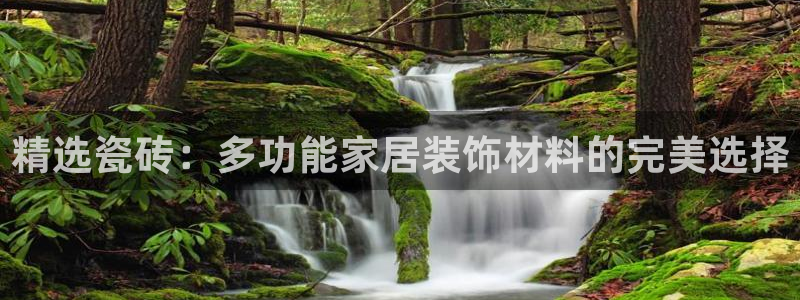 杏鑫平台代理注册多少钱啊