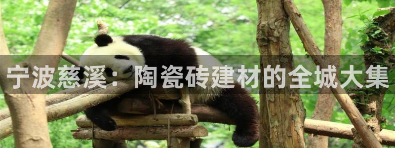 杏鑫注册登录平台