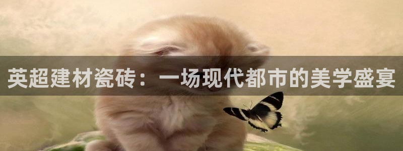 杏鑫注册登录代理公司