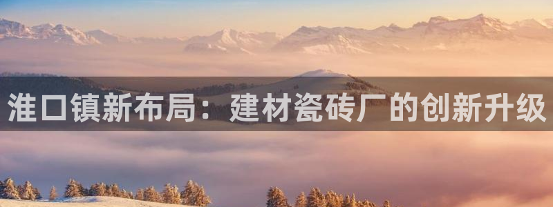 杏鑫平台代理注册流程及费用