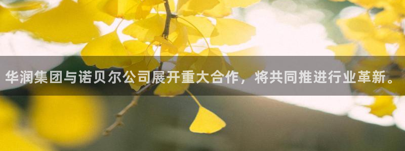 杏鑫平台注册入口在哪里找