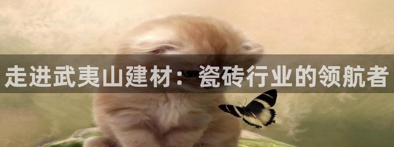杏鑫官方平台怎么样啊可靠吗