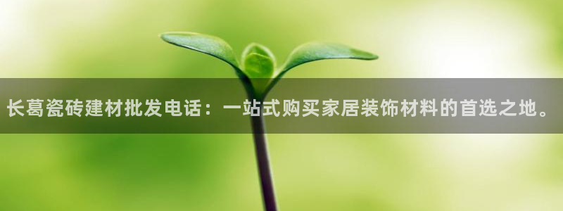 杏鑫平台注册地址是哪里