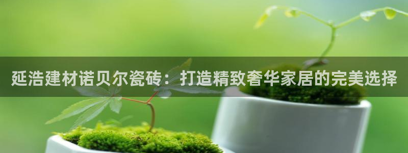 杏鑫官网注册账号是什么