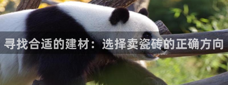 杏鑫官网注册账号