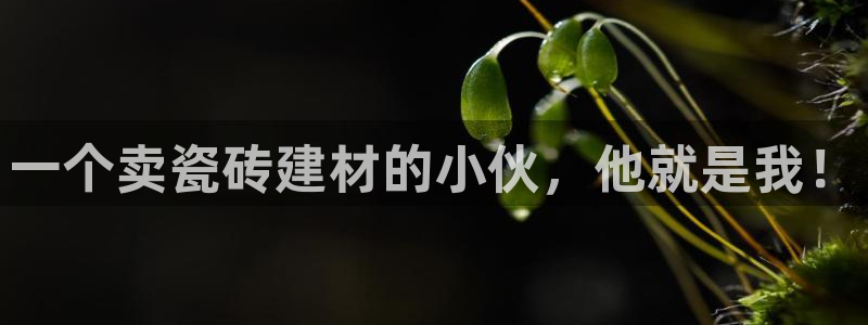 杏鑫官网注册账号怎么注册的