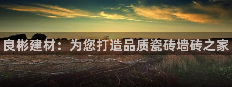 杏鑫平台代理注册登录不了怎么办呀视频