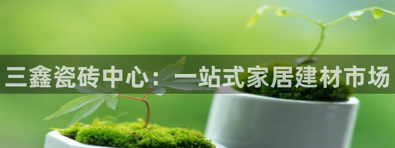 杏鑫官网注册账号是什么样的