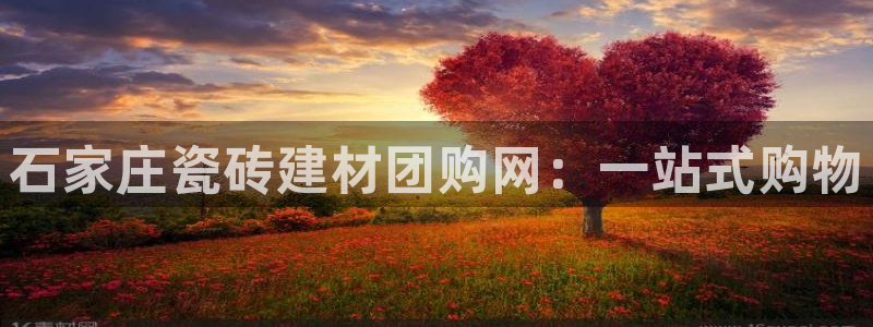 杏鑫官网注册账号怎么注册的