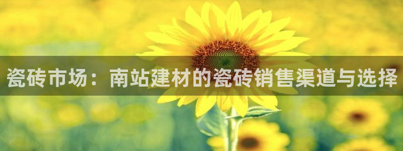 杏鑫娱乐官方网站客户端登录