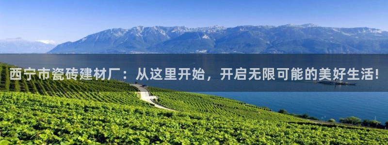 杏鑫平台测速怎么样