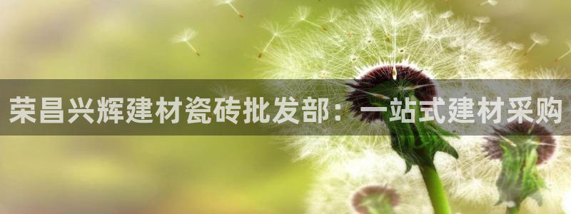 杏鑫平台登录地址查询