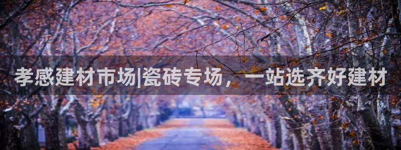 杏鑫平台代理注册