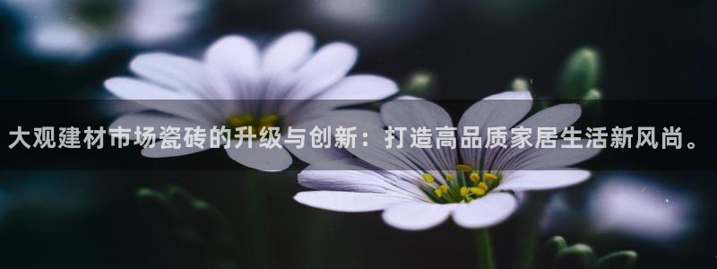 杏鑫平台登录地址是什么