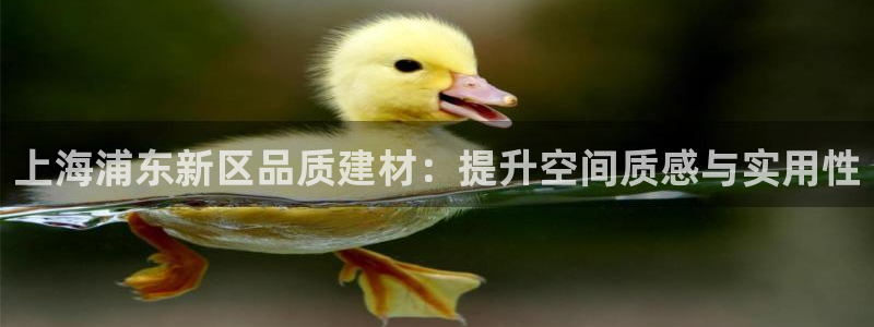 杏鑫官方平台怎么样