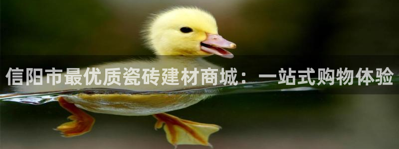 杏鑫官网注册账号密码是什么