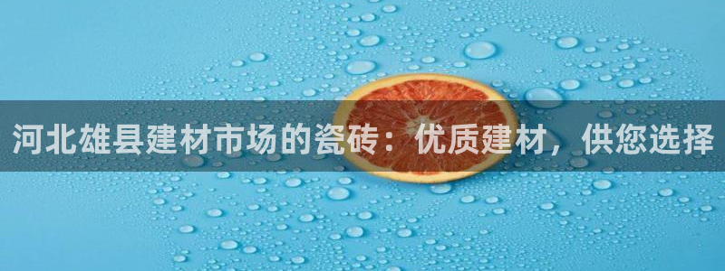 杏鑫平台注册地址在哪里