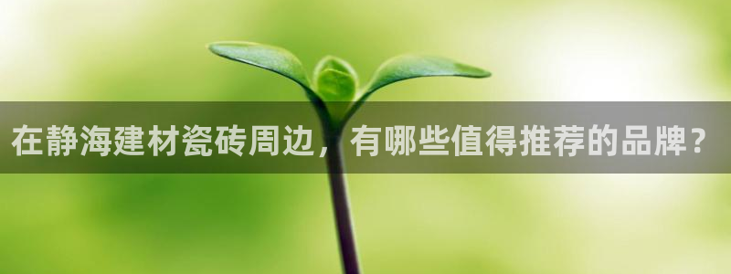 杏鑫代理注册登录