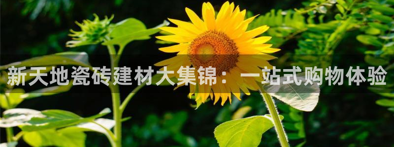 杏鑫注册平台官方网站